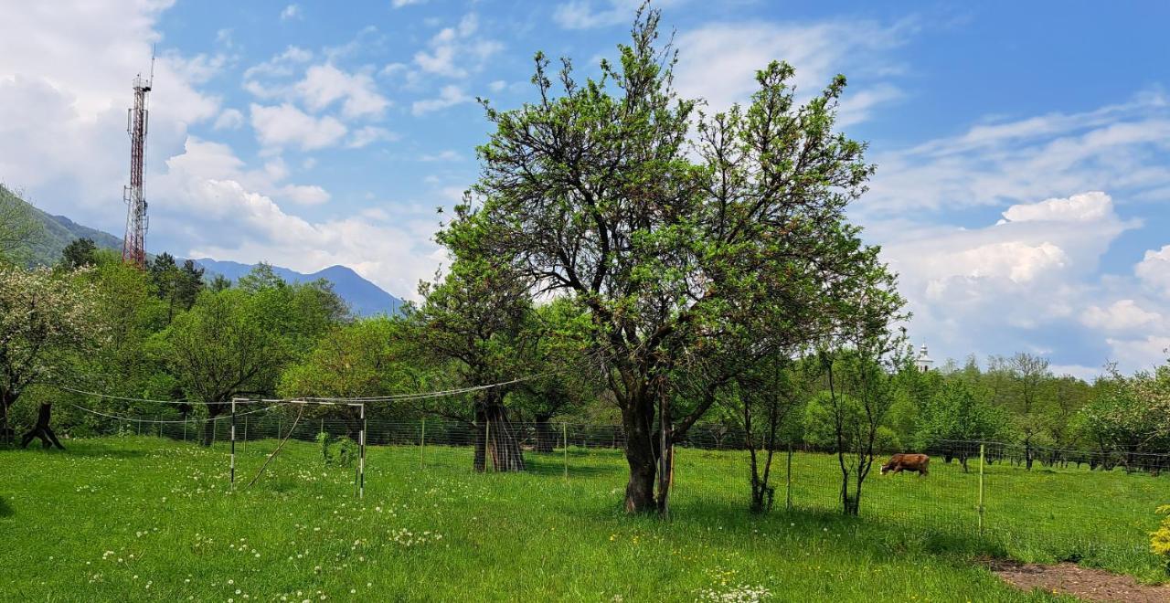 Villa Katharina Bran ブラン エクステリア 写真